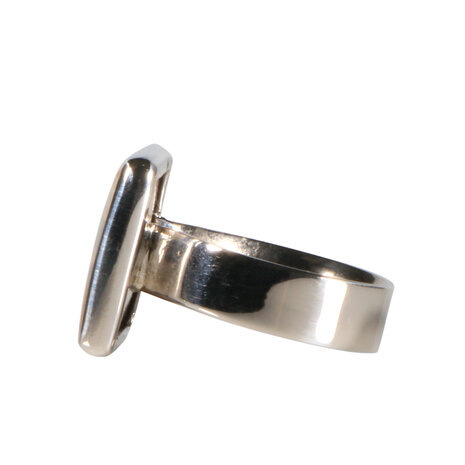 Zilveren ring versteend palm hout maat 19 1/4 | vierkant 1,7 x 1,7 cm Zilveren ring versteend palm hout maat 19 1/4 | vierkant 1,7 x 1,7 cm