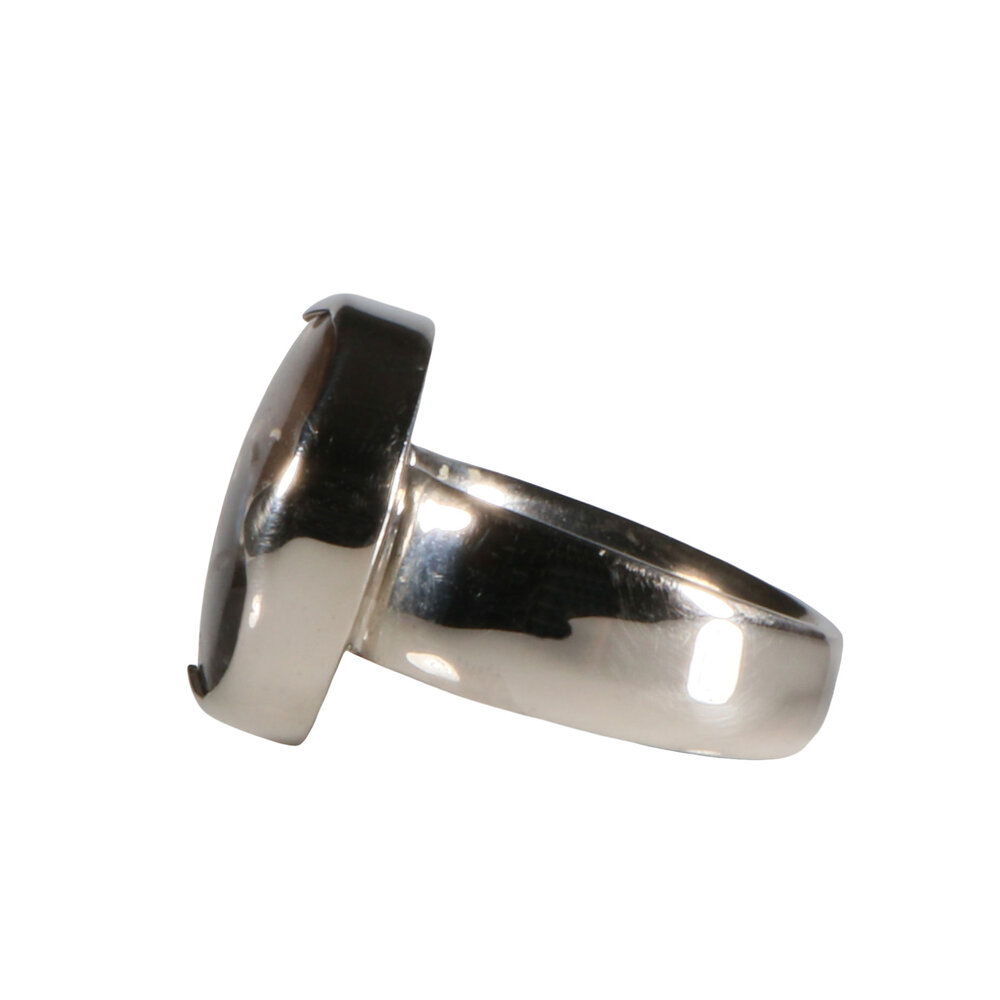 Zilveren ring versteend palm hout maat 17 | rond 1,5 cm (1) Zilveren ring versteend palm hout maat 17 | rond 1,5 cm (1)