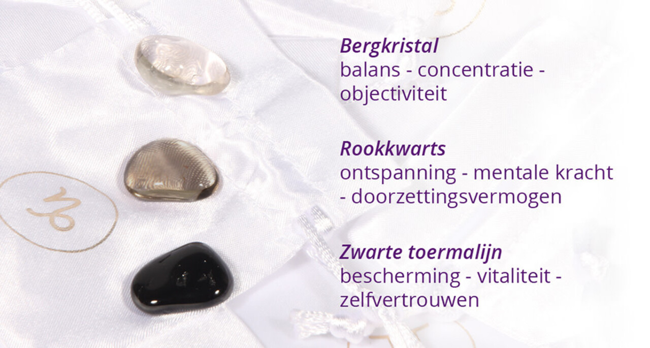 Zilveren oorbellen sterrenbeeld steenbok 6 mm