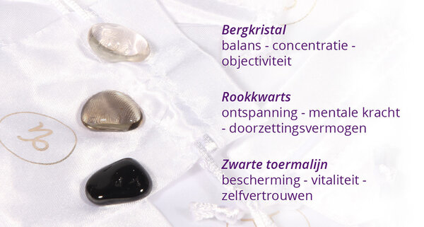 Zilveren oorbellen sterrenbeeld steenbok 6 mm