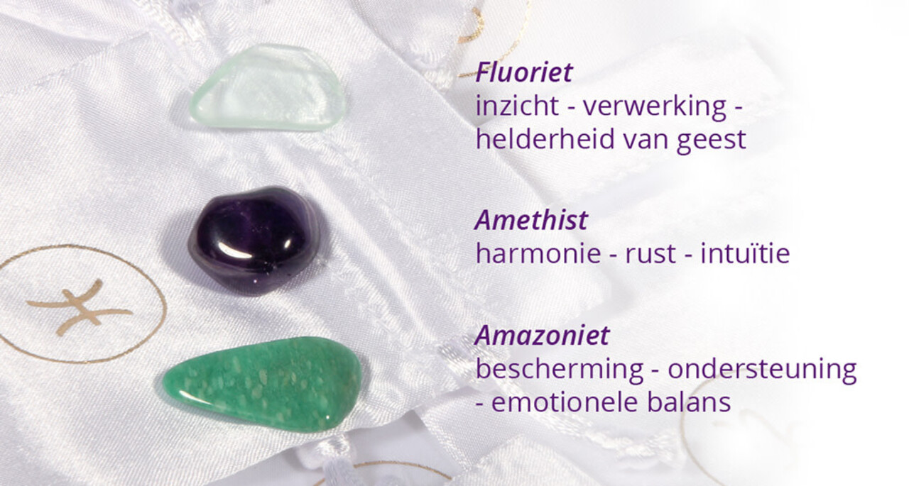 Zilveren oorbellen sterrenbeeld vissen Zilveren oorbellen sterrenbeeld vissen