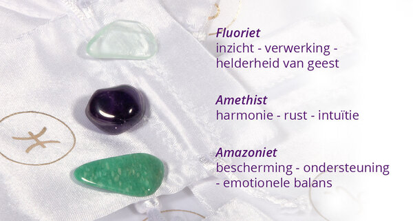 Zilveren oorbellen sterrenbeeld vissen 6 mm