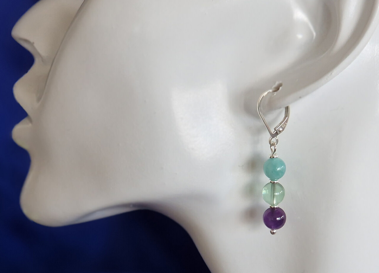 Zilveren oorbellen sterrenbeeld vissen 6 mm