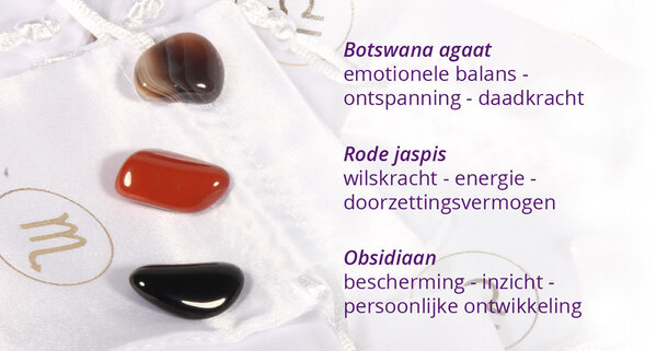 Zilveren oorbellen sterrenbeeld schorpioen 6 mm