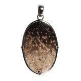 Zilveren hanger versteend palm hout | ovaal 3,9 x 2,5 cm Zilveren hanger versteend palm hout | ovaal 3,9 x 2,5 cm