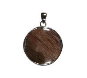 Zilveren hanger versteend hout | rond 3 cm (2) Zilveren hanger versteend hout | rond 3 cm (2)