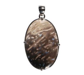 Zilveren hanger versteend palm hout | ovaal 4 x 2,7 cm Zilveren hanger versteend palm hout | ovaal 4 x 2,7 cm