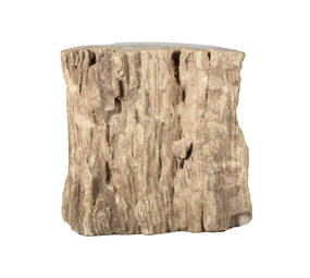 Versteend hout (varen) ruw staand 11,5 x 11,5 x 5,5 cm | 935 gram Versteend hout (varen) ruw staand 11,5 x 11,5 x 5,5 cm | 935 gram