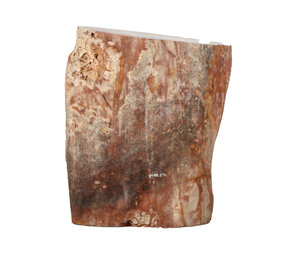 Versteend hout (varen) ruw staand 12 x 11 x 6 cm | 1070 gram Versteend hout (varen) ruw staand 12 x 11 x 6 cm | 1070 gram