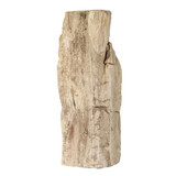 Versteend hout (varen) ruw staand 24 x 10 x 7,5 cm | 1890 gram