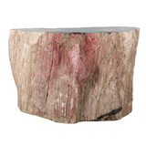 Versteend hout (varen) ruw staand 17 x 12 x 9,5 cm | 2681 gram