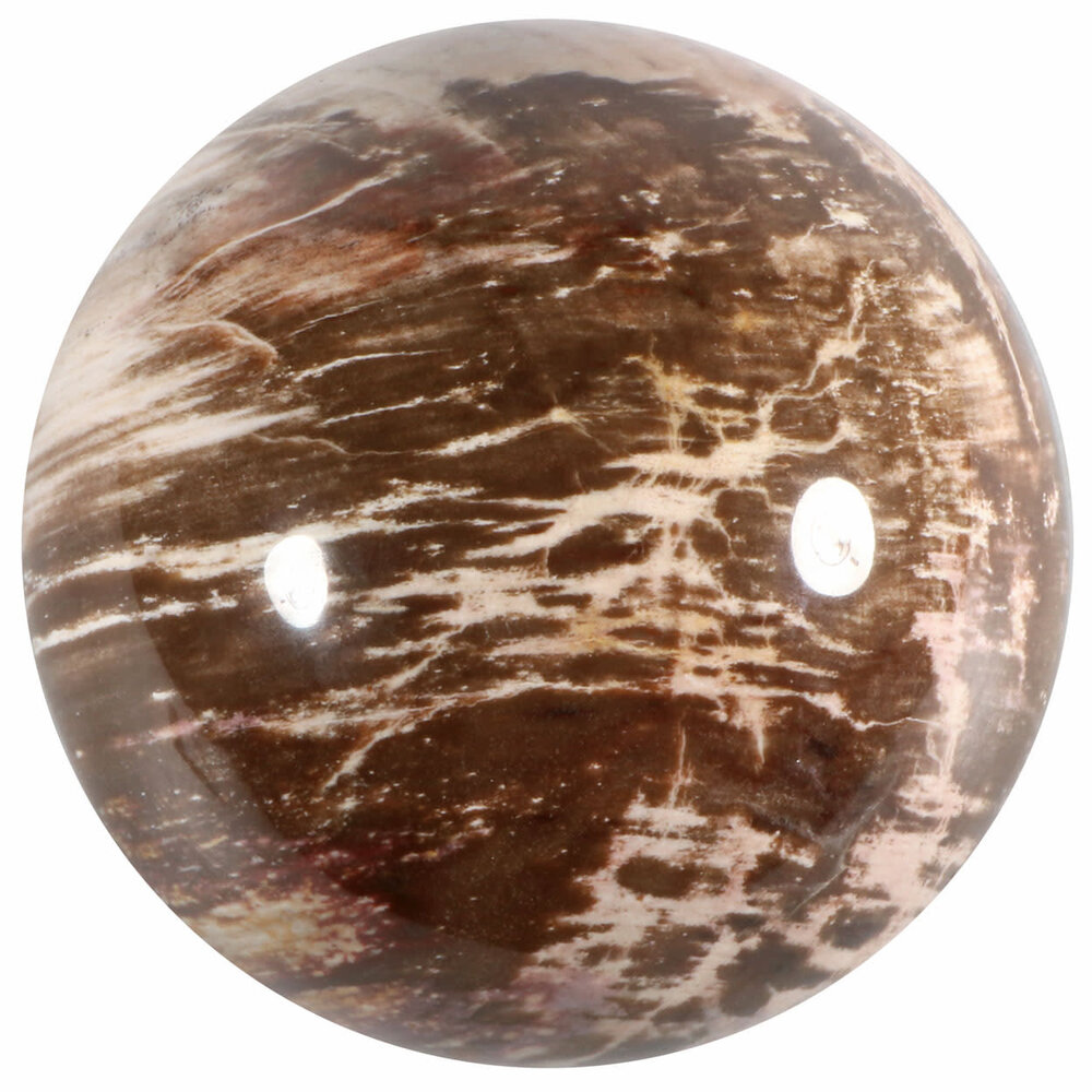 Versteend hout bol 97 mm | 1248 gram Versteend hout bol 97 mm | 1248 gram