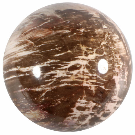 Versteend hout bol 97 mm | 1248 gram Versteend hout bol 97 mm | 1248 gram