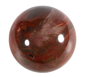 Versteend hout bol 80 mm | 690 gram Versteend hout bol 80 mm | 690 gram