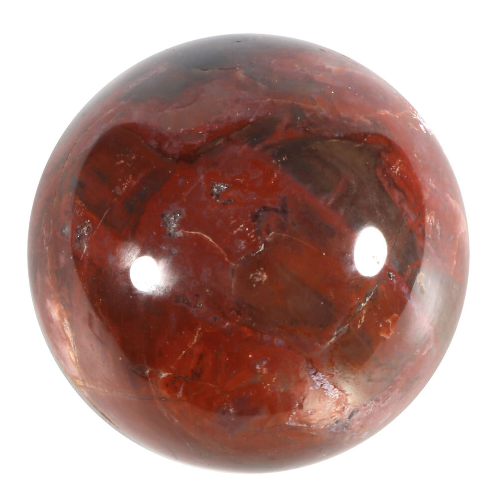 Versteend hout bol 80 mm | 690 gram Versteend hout bol 80 mm | 690 gram