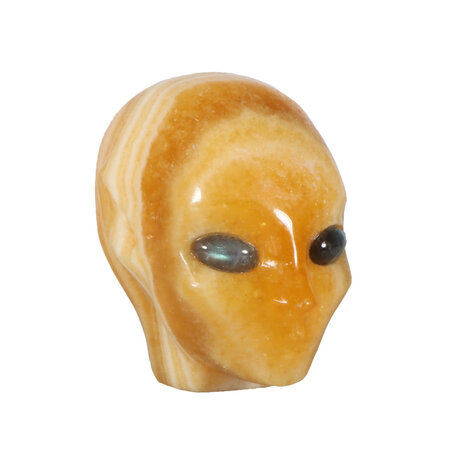 Calciet (oranje) fairy schedel 7,5 x 7 x 4,5 cm | 410 gram Calciet (oranje) fairy schedel 7,5 x 7 x 4,5 cm | 410 gram