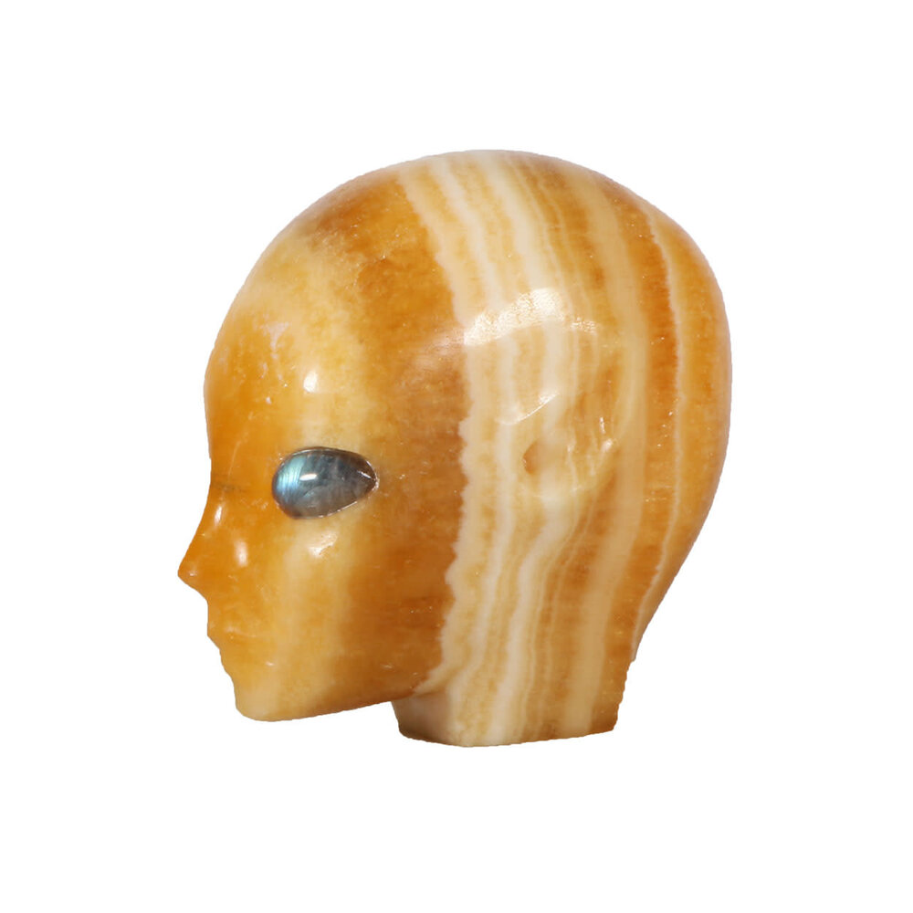 Calciet (oranje) fairy schedel 7,5 x 7 x 4,5 cm | 410 gram Calciet (oranje) fairy schedel 7,5 x 7 x 4,5 cm | 410 gram