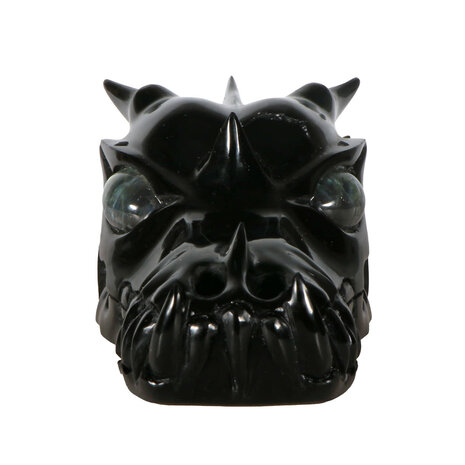 Obsidiaan (zwart) draken schedel 17 x 9 x 8 cm | 1176 gram