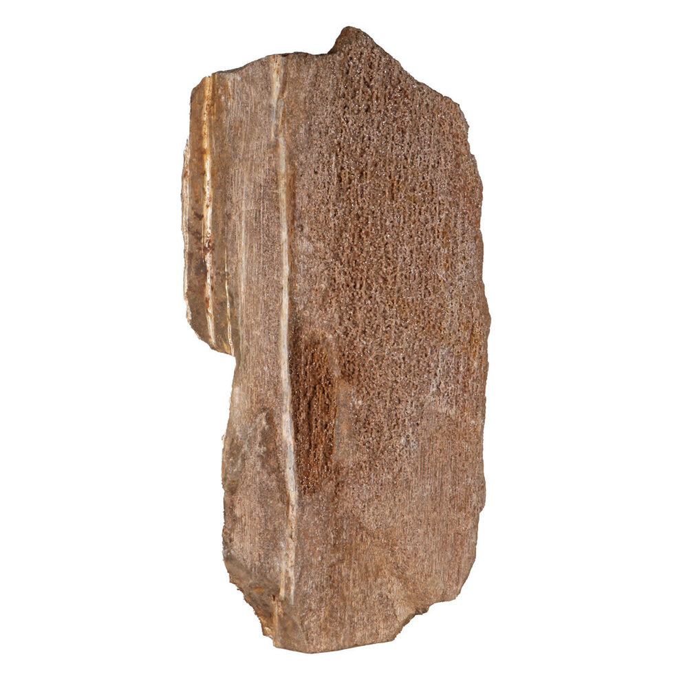 Versteend hout met kristallen ruw staand 38 x 20 x 11 cm | 7560 gram