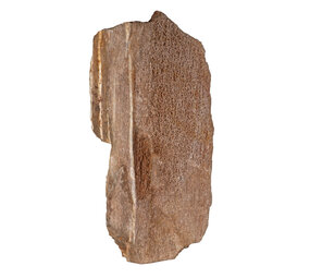 Versteend hout met kristallen ruw staand 38 x 20 x 11 cm | 7560 gram