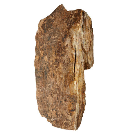 Versteend hout met kristallen ruw staand 38 x 20 x 11 cm | 7560 gram