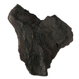 Versteend hout met kristallen ruw staand 32,5 x 27 x 11 cm | 4621 gram