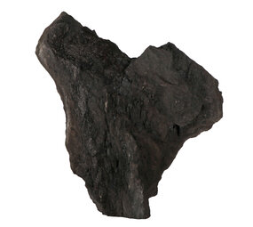 Versteend hout met kristallen ruw staand 32,5 x 27 x 11 cm | 4621 gram