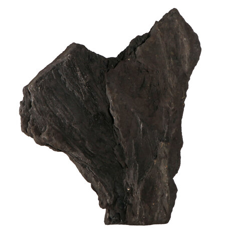 Versteend hout met kristallen ruw staand 32,5 x 27 x 11 cm | 4621 gram