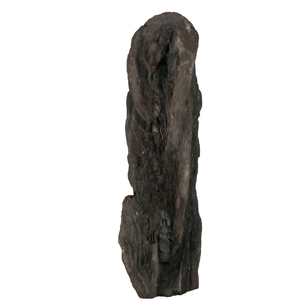 Versteend hout met kristallen ruw staand 32,5 x 27 x 11 cm | 4621 gram