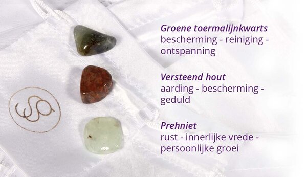 Zilveren oorbellen ADHD & hyperactiviteit 6 mm kralen