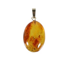 Barnsteen hanger met insect met 14k gouden oogje Barnsteen hanger met insect met 14k gouden oogje