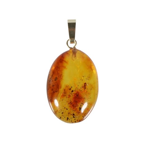 Barnsteen hanger met insect met 14k gouden oogje Barnsteen hanger met insect met 14k gouden oogje