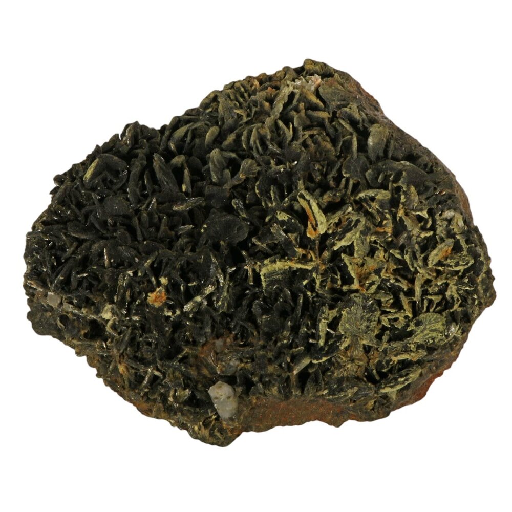 Epidoot cluster 31 x 27 x 10 cm | 8490 gram