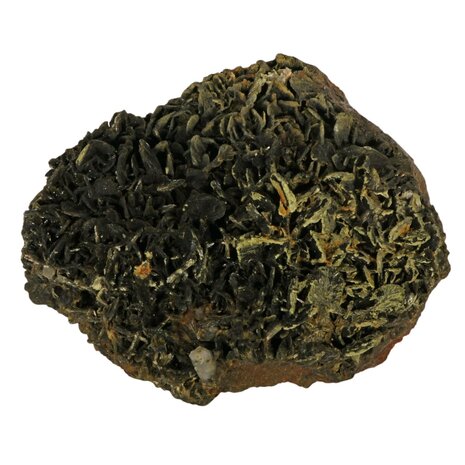 Epidoot cluster 31 x 27 x 10 cm | 8490 gram