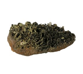 Epidoot cluster 31 x 27 x 10 cm | 8490 gram Epidoot cluster 31 x 27 x 10 cm | 8490 gram