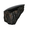 Toermalijn (zwart) 1 zijde gepolijst staand 9,5 x 7 x 6,5 cm | 646 gram Toermalijn (zwart) 1 zijde gepolijst staand 9,5 x 7 x 6,5 cm | 646 gram