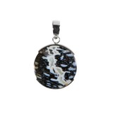 Zilveren hanger versteend palm hout | rond 2,5 cm Zilveren hanger versteend palm hout | rond 2,5 cm