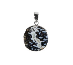 Zilveren hanger versteend palm hout | rond 2,5 cm Zilveren hanger versteend palm hout | rond 2,5 cm