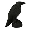 Obsidiaan (zwart) raaf 12 x 7,5 x 5 cm Obsidiaan (zwart) raaf 12 x 7,5 x 5 cm