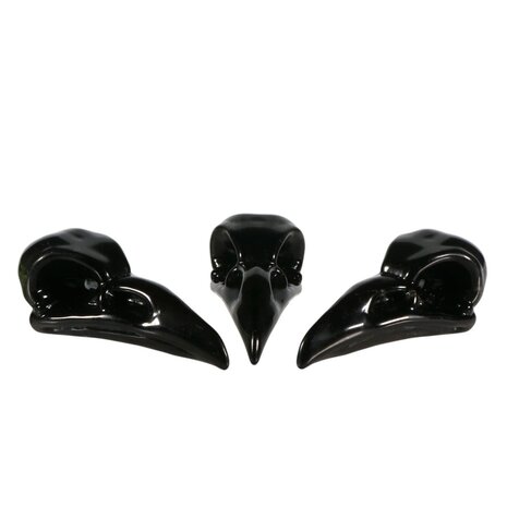 Obsidiaan (zwart) raven schedel 8 x 3,5 x 3,5 cm Obsidiaan (zwart) raven schedel 8 x 3,5 x 3,5 cm