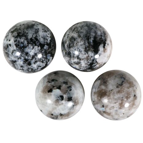 Maansteen (regenboog) met toermalijn bol 54 - 58 mm Maansteen (regenboog) met toermalijn bol 54 - 58 mm