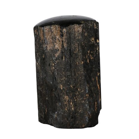 Toermalijn (zwart) 1 zijde gepolijst staand 11 x 6,5 x 6 cm | 883 gram Toermalijn (zwart) 1 zijde gepolijst staand 11 x 6,5 x 6 cm | 883 gram