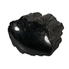 Toermalijn (zwart) 1 zijde gepolijst staand 9 x 8,5 x 6,5 cm | 931 gram Toermalijn (zwart) 1 zijde gepolijst staand 9 x 8,5 x 6,5 cm | 931 gram