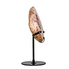 Amethist (roze) A-kwaliteit op standaard 11,5 x 9,5 x 3,5 cm | 570 gram Amethist (roze) A-kwaliteit op standaard 11,5 x 9,5 x 3,5 cm | 570 gram