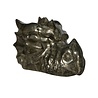 Pyriet draken schedel 10 x 6 x 5 cm | 614 gram Pyriet draken schedel 10 x 6 x 5 cm | 614 gram