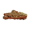 Adamiet kristallen op limoniet A-kwaliteit 13 x 10,5 x 3 cm | 261 gram Adamiet kristallen op limoniet A-kwaliteit 13 x 10,5 x 3 cm | 261 gram