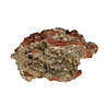 Adamiet kristallen op limoniet A-kwaliteit 9,5 x 9 x 3,5 cm | 228 gram Adamiet kristallen op limoniet A-kwaliteit 9,5 x 9 x 3,5 cm | 228 gram