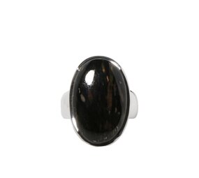 Zilveren ring nuummiet maat 17 | ovaal 2,2 x 1,4 cm