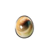 Zilveren ring Shiva oog maat 17 | ovaal 2,1 x 1,7 cm Zilveren ring Shiva oog maat 17 | ovaal 2,1 x 1,7 cm
