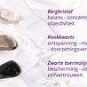 Zilveren hanger sterrenbeeld steenbok 6 mm Zilveren hanger sterrenbeeld steenbok 6 mm